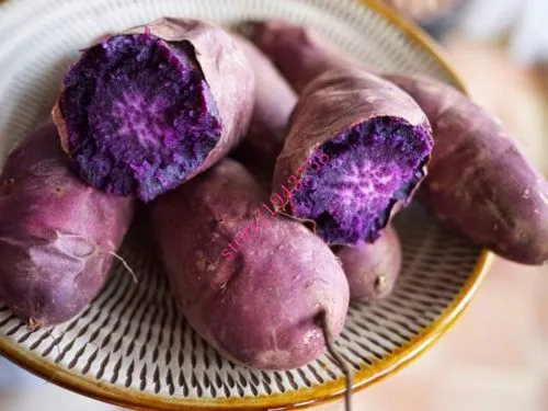 

200 pcs purple potato ,purple sweet potato,delicious green vegetable , home garden NO GMO the best gift for the family