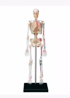 HTB1D62NLXXXXXXYXpXXq6xXFXXXQ