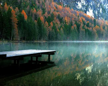 

Paint by Numbers Kits for Adults DIY 53036