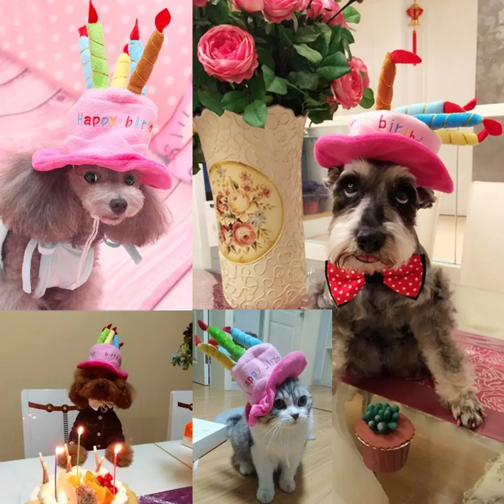 Chapeau De Fete D Anniversaire Pour Chien Et Chat Mignon Avec 5 Bougies Colorees Accessoire De Costume Cosplay Pour Petits Chiens Et Chats Aliexpress