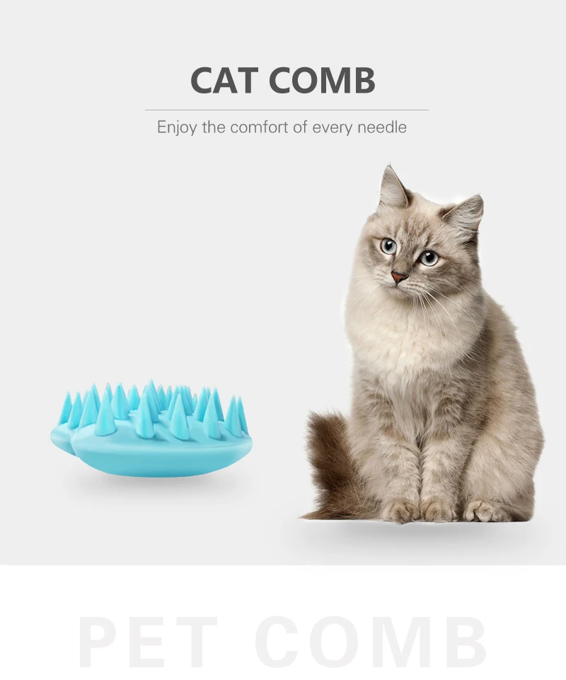 7 cats accessories pets 