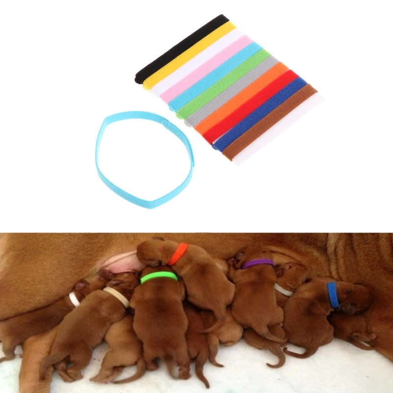 

12Pcs Pet Collars Different Colors Soft Identification Mark For Cats Dogs Puppies Kitty Kitten Collars Leads