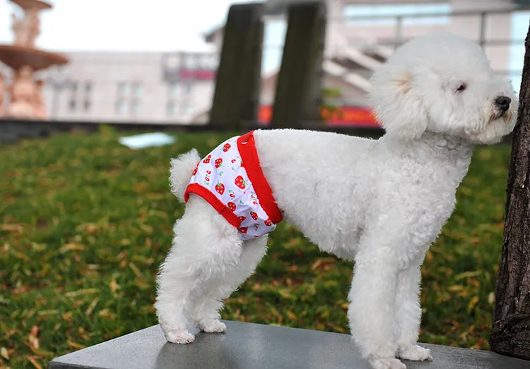 Мода Kawaii Pet Puppy хлопок подтяните ремень трусы санитарное нижнее белье для собак подгузники физиологические брюки