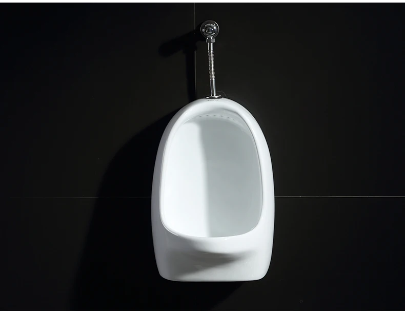 Писсуар Gogirl Ванна Dan Agri-star настенный клапан с ручным промыванием туалета для детей и мужчин