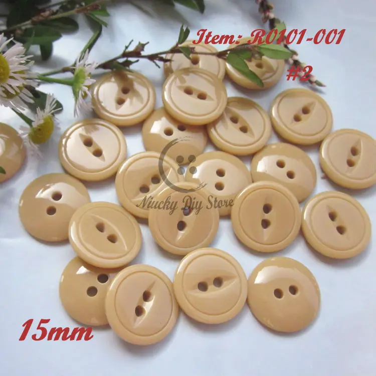 R0101-001#2