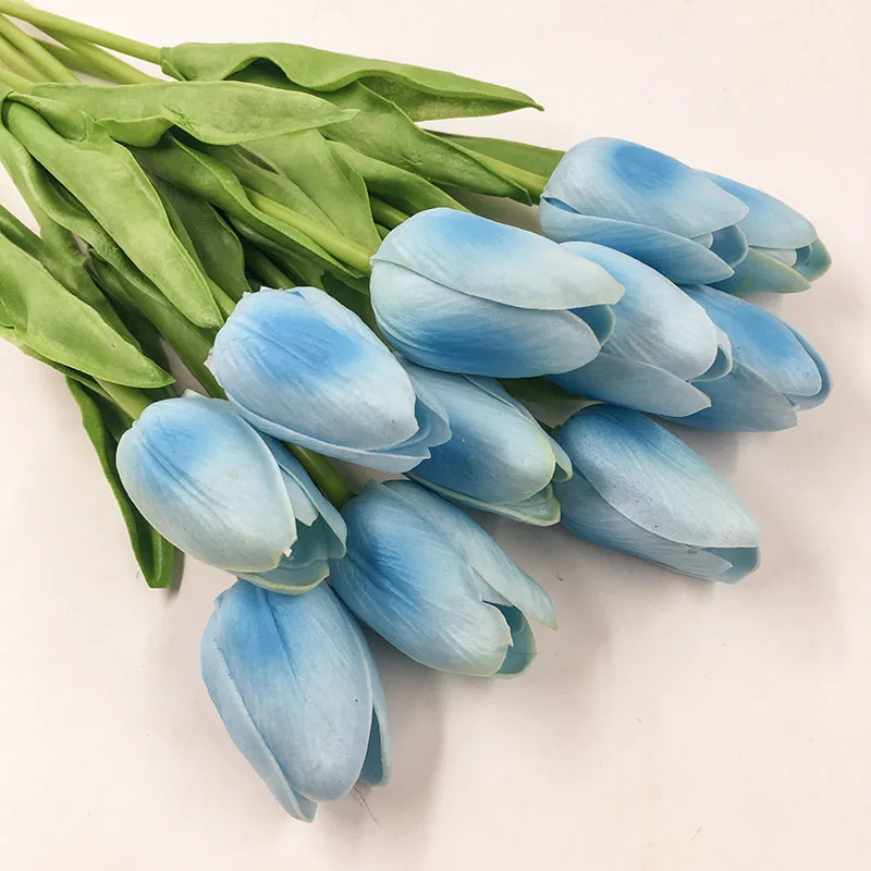 KC459-blue