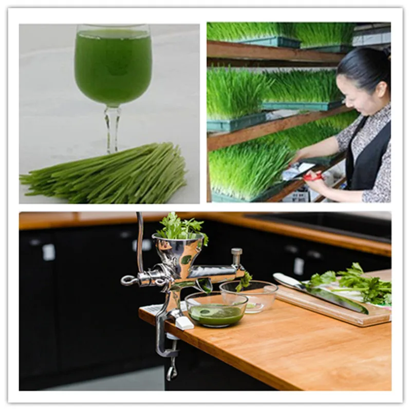 Manual fruit juicer stainless steel fresh cucumber juice machine household wheat grass juicing machine    ZF