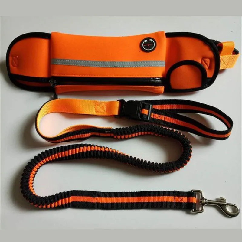 Handfree Bungee Dog Leash (15)