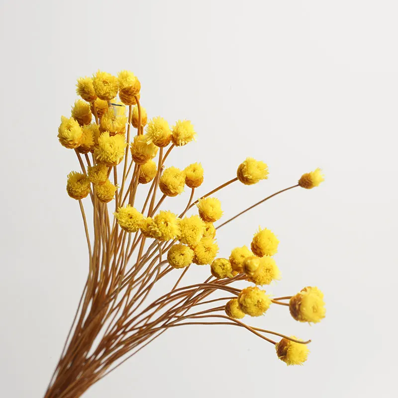 

50pcs Cute Happy Flower Natural Small Dried Flower For Party Home Bedroom Living Room Office DIY Decoration Flowers WED5780