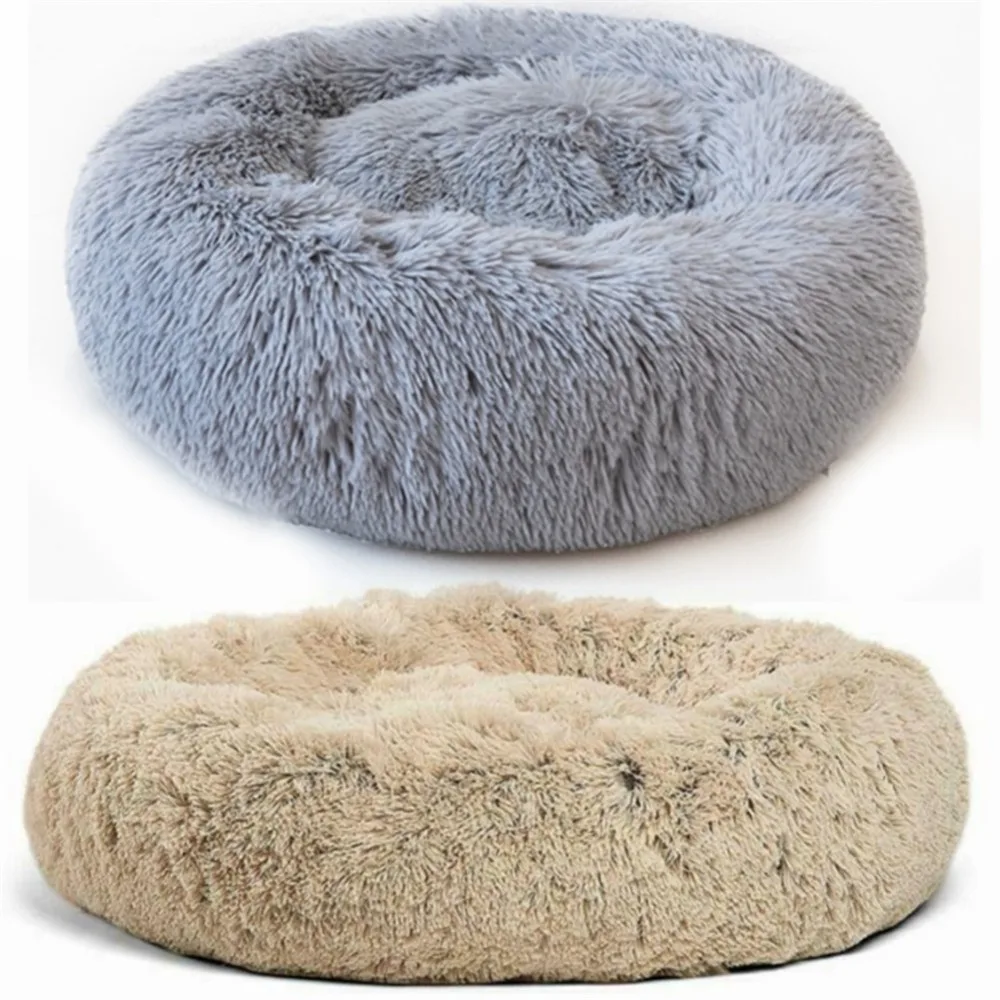 11170820442_461200349