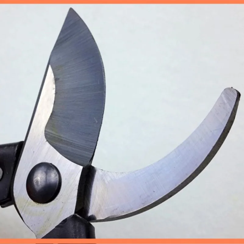 

Novel Plant Scissor Alloy Double Color Handle Pruning Cutter Gardening Fruit Tree Branch Grafting Shears Garden Pruner Tools Sh