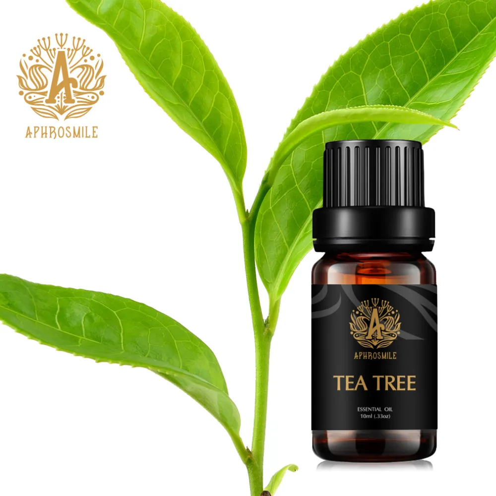 النباتات الطبيعية العطور النفط البابونج الياسمين نجيل الهند زيت طبيعي 10 مللي المياه للذوبان العطر النفط لالعطرية الناشرون
