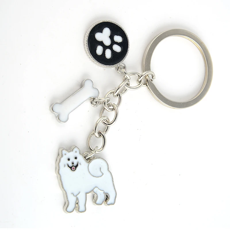 HTB1uVeaSXXXXXcEaXXXq6xXFXXXF