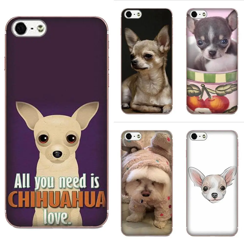 All You Need Is Chihuahua Dog Puppies For Huawei P7 Honor 4C 5A 5C 5X 6 6C 6A 6X 7 7X 8 9 V8 V10 Y3II Y5II Y6II G8 Play Lite | Мобильные