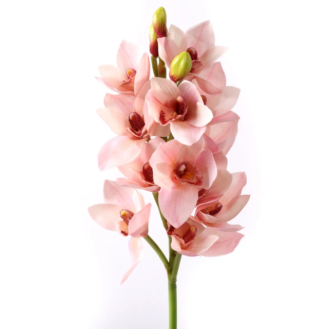 23" Cymbidium Orchid Silk Flower Single Stem in Pink / Near Natural