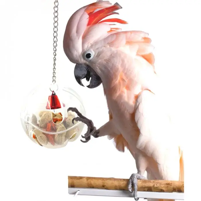 Parrots Food Feeder Hanging Feeding Toy Birds Bell Foraging Chain Round Square Bird Feeder Best Price