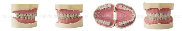 CMAM-DH105-1 13006