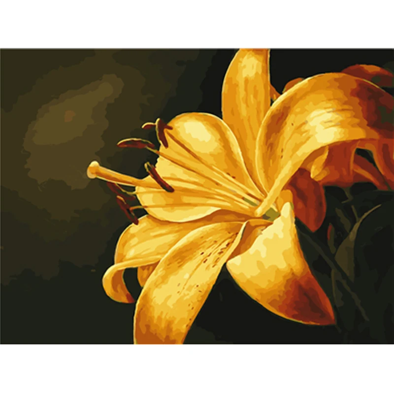 

Digital Oil Paint By Number Canvas Digital Drawing Hand Painted Picture Wall Decoration Wall Art