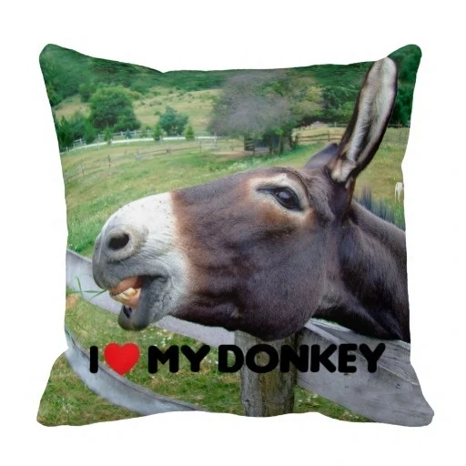 最悪i愛私のロバ面白いラバファーム動物クッションカバー サイズ 45 45センチ 送料無料 Cushion Cover Animal Cushion Coveranimal Cushion Aliexpress