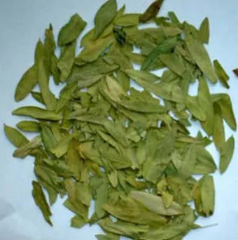 Hasil gambar untuk Cassiae folium