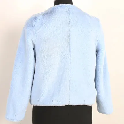 2018 New Long Sleeve Round Neck Faux Fur Coat N27