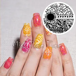 Новая премиум штамповочная пластина hehe91 Geographic Wave Nail Art Stamp шаблон полировка изображений Печать Передачи