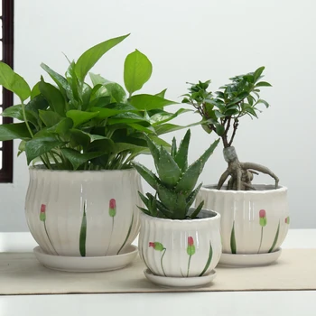 

Balcony nursery pots indoor succulent pot bonsai pot green plant pots fast post Wholesale white ceramic flower pots with tray