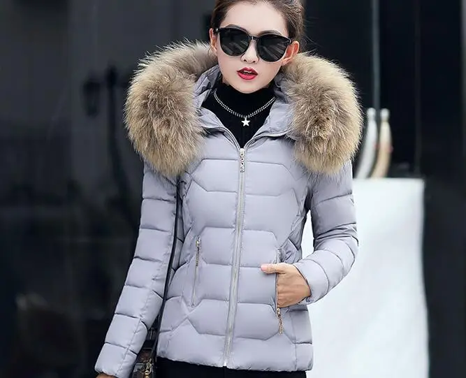 Осень и зима новое женское хлопковое пальто с капюшоном тонкий короткий большой меховой воротник пуховик