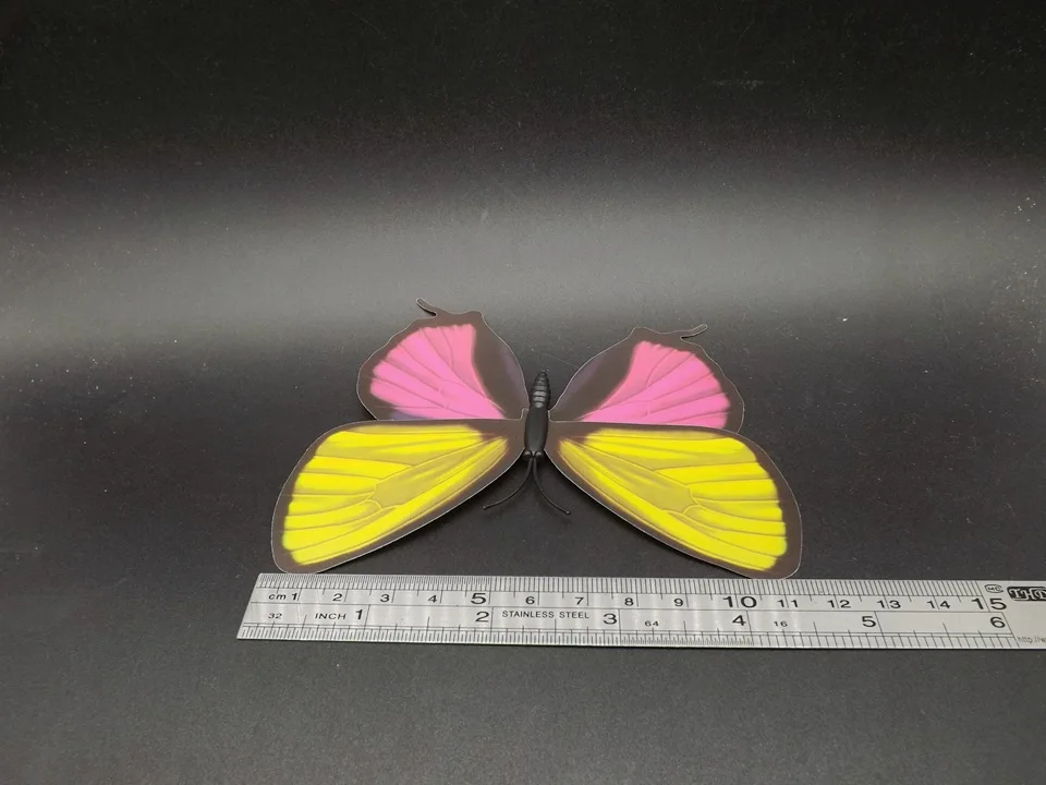 I236-Butterfly (11)