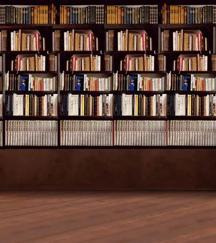Книжные полки фоны для портретной фотосъемки виниловые тканевые воздушные шары