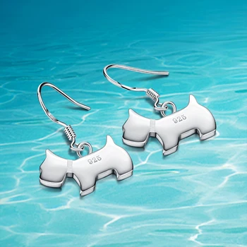 

Hot sale!!! women 925 sterling silver earrings; Popular jewelry;Sterling silver earrings for women;Solid design;