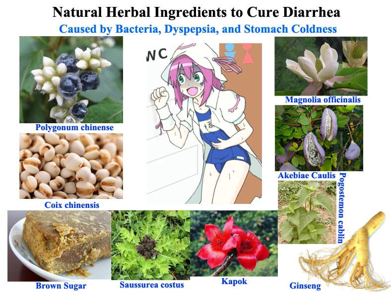 

Natural Herbal Ingredients to Cure Diarrhea Caused by Bacteria, Dyspepsia, and Stomach Coldness