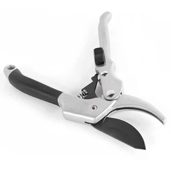 

Bonsai Fruit Plant Grain Scissors for Vegetable Fruit Cutting Tool Garden Pruning Shears for Plant Pruning Shears Garden Tool
