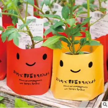 

2017 New 100Pcs Plastic Packaging Bags For Biscuit Birthday Gift Package Plastic Packaging Bag Kawaii Smiling Face Mini Bag Box