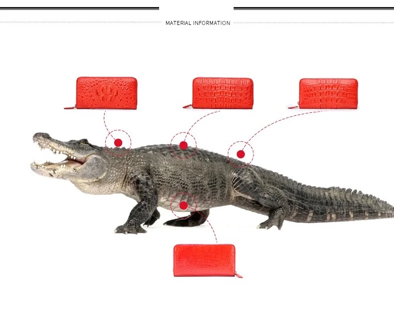 Необычный женский длинный кошелек с отделением для карт из натуральной крокодиловой кожи с карманом для монет на молнии