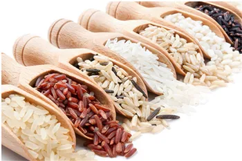 

TTLIFE 3pcs Dropshipping Mini Wooden Scoops Bath Salt Spoon Candy Flour Spoon Scoops Kitchen Utensils - 2.4x7.8cm