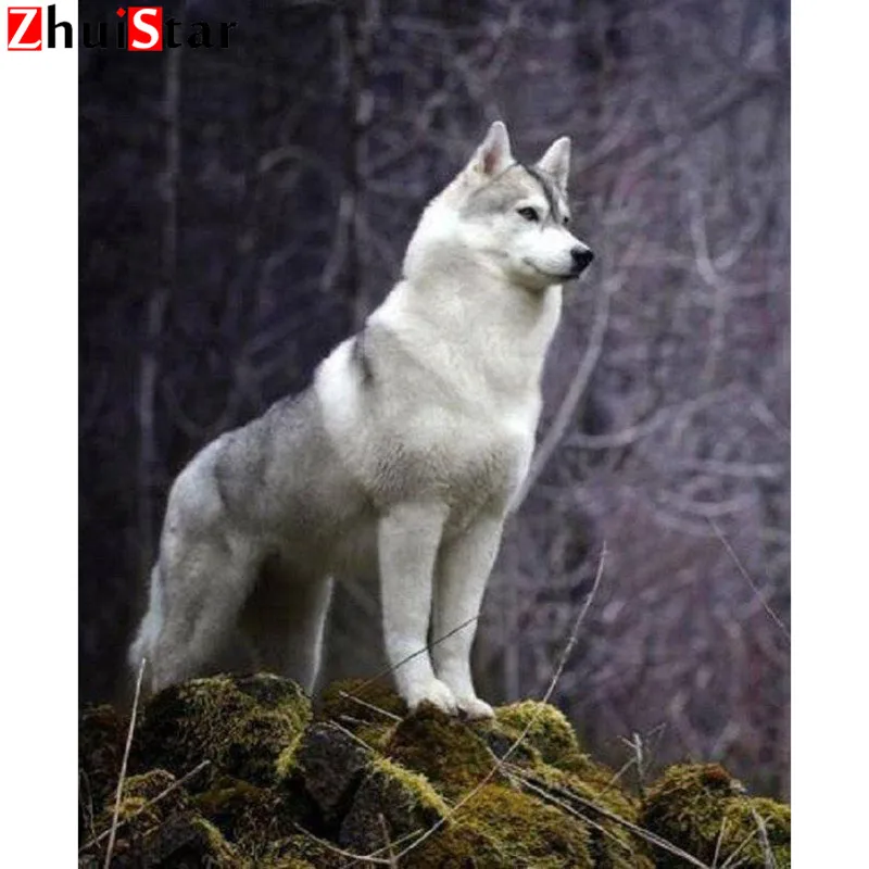 Стая собак. Балто собачья упряжка. Хаски собака стая. Самоед снежок фроста. Вожак псов.