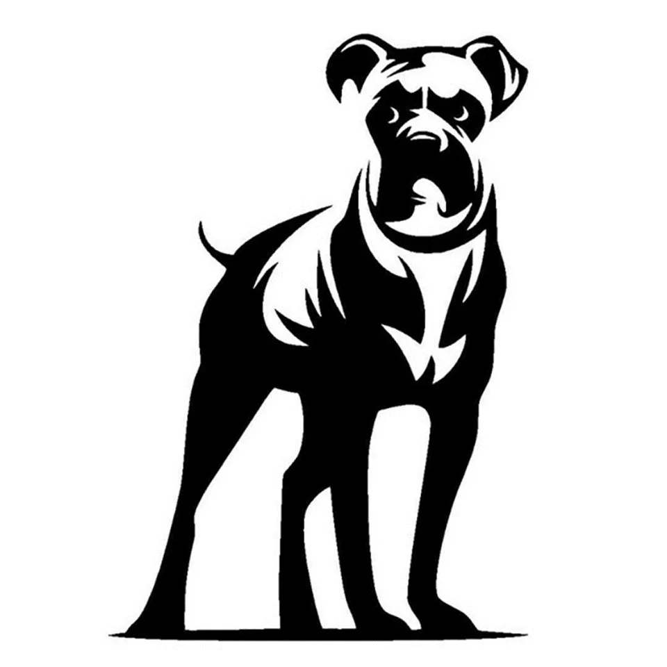 11.416.5CM Boxer Dog Pet Breed Vinyl Decal Cute Cartoon Animal Car Window Stickers BlackSilverLaser (2)