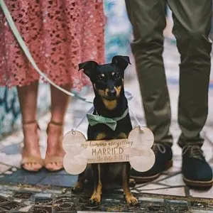 

personalize Pet dog Sign for Engagement Save the Date Photography ,wood dog wedding signs, Engagement Pictures Photo Prop