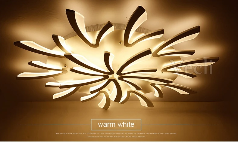 Ceiling lamps (15)