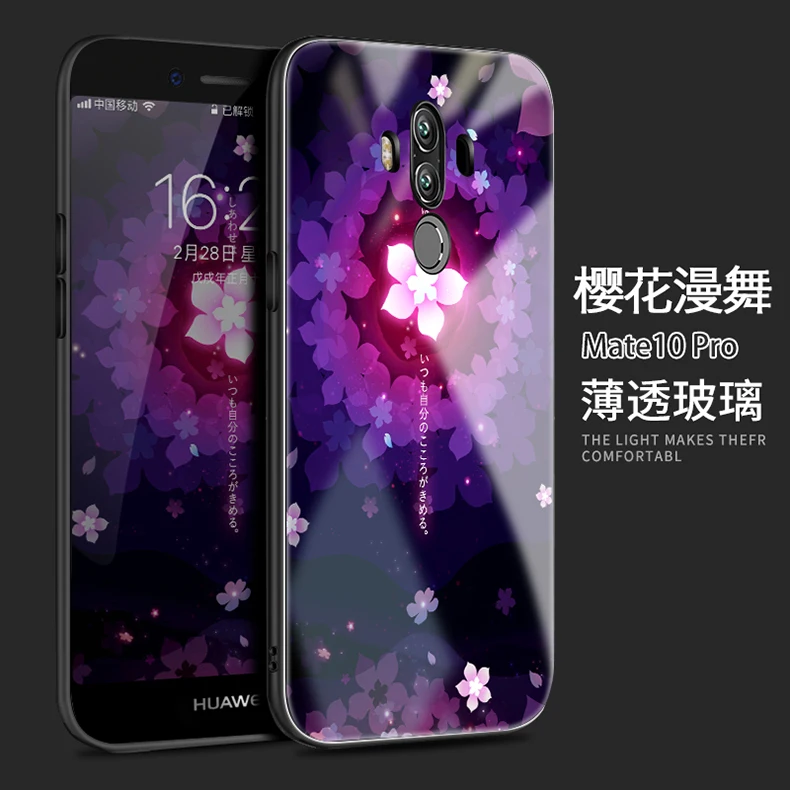 mate 10 pro (3)