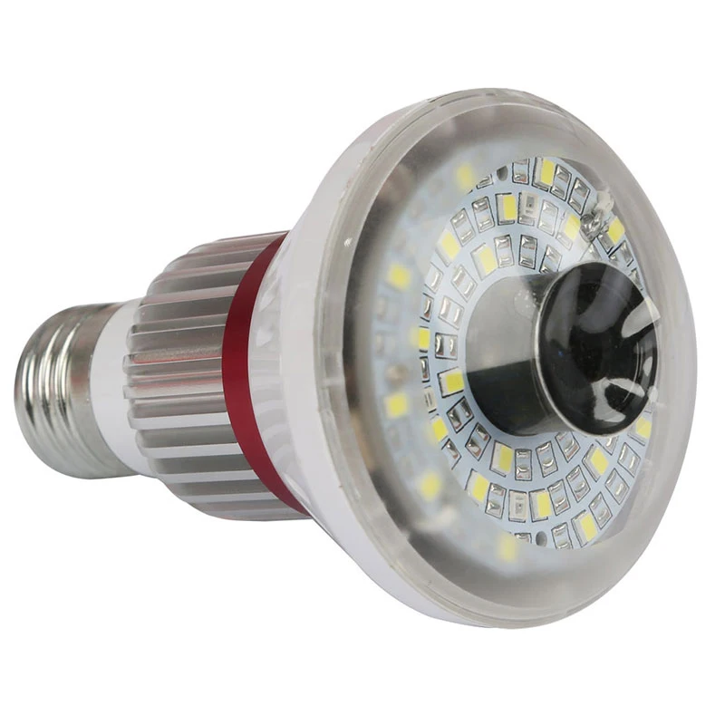 bulb IP camera