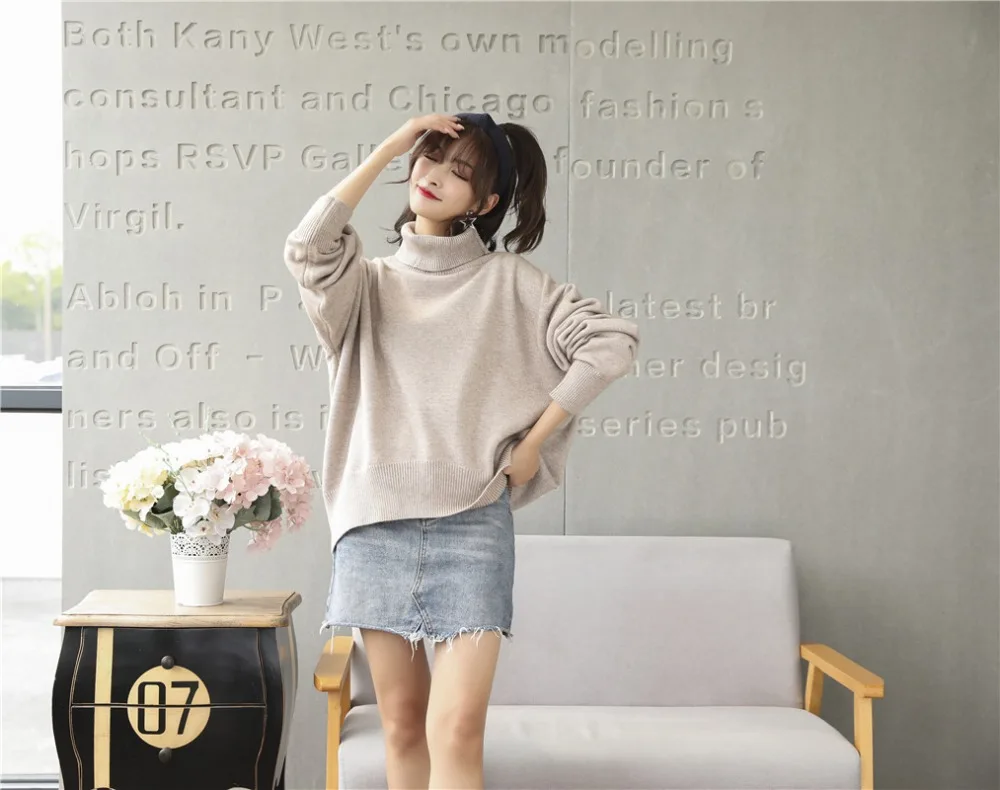 Knit Women Sweater  (17)
