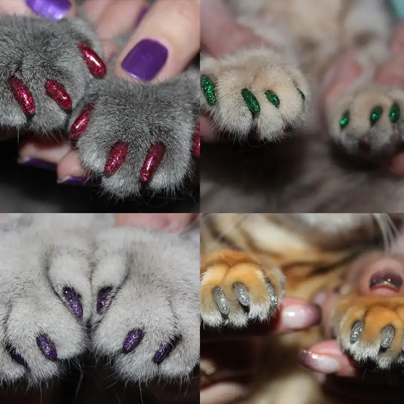 ピース ロット新ブリスターカードソフトシリコーン猫ネイルキャップ猫の足の爪ペットの爪プロテクター接着剤やアプリケーターサイズxs S M L Cat Grooming Aliexpress