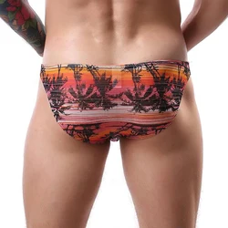 Men Underwear High Quality Men's Briefs Print Fashion Mesh Sexy Gay Underpants Men Brief 5 Color Calzoncillos Cueca Male Panties Men Underwear High Quality Men's Briefs Print Fashion Mesh Sexy Gay Underpants Men Brief 5 Color Calzoncillos Cueca Male Panties