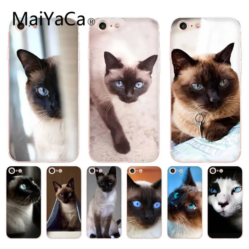 

MaiYaCa For iphone 7 6 X Case Pet Siamese Cat Transparent Cover Case for iPhone 8 7 6 6S Plus X 10 5 5S SE 5C XS XR Mobile Case