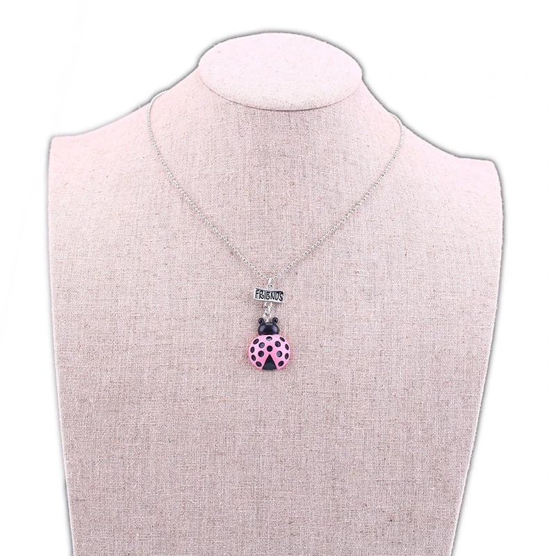 8695364169_1778603079