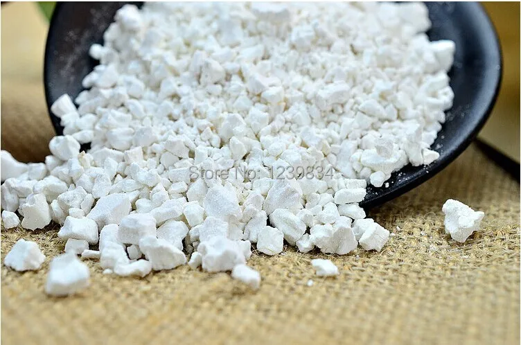 arrowroot kopen