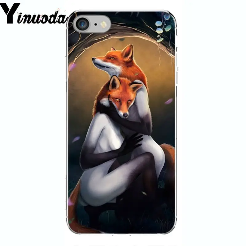 A Fox in The Wild Red Fox 