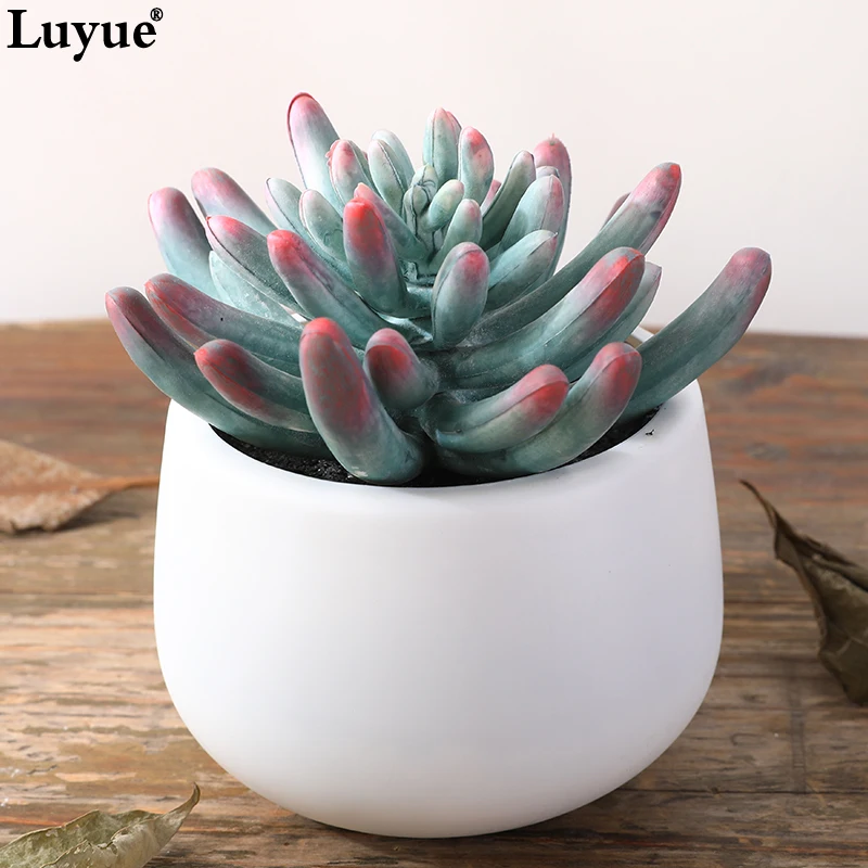 Luyue Balcony Fleshy Garden Vase Artificial Flower Plant Red gray flowers bonsai Noble for Hotel Shop Home balcony decoration Luyue Balcony Fleshy Garden Vase Artificial Flower Plant Red gray flowers bonsai Noble for Hotel Shop Home balcony decoration